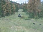 Convoy along the gas line.jpg