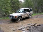 Disco skirting the pond!.jpg