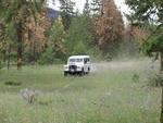 Series on the trail.jpg