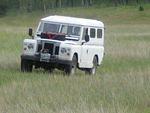 15 109 in the savana.jpg