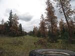 3 enroute to Deadmans valley.jpg