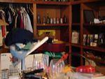 The Company Store