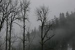 Snow run 2007 (8).jpg