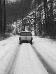 DSCF0346.JPG