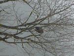 DSCN3405.jpg