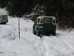 DSCN3412.jpg