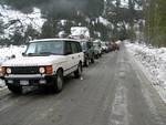 So many trucks this year.
