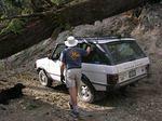 Rangie romp.jpg