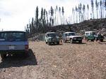 3 Can't find the road.jpg