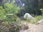 7 Campsite.jpg