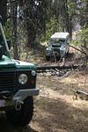 Tight turns and intruding tree branches.jpg