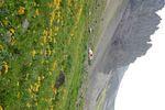 Colorado 2007 112.jpg