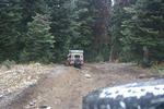 Whipsaw October 2008 016.jpg