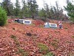 Whipsaw Oct 2008 016.JPG