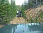 Whipsaw Oct 2008 019.JPG