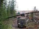 Whipsaw Oct 2008 022.JPG