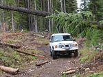 Whipsaw Oct 2008 024.JPG