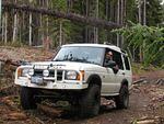 Whipsaw Oct 2008 025.JPG