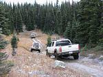 Whipsaw Oct 2008 047.JPG