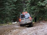 Whipsaw Oct 2008 053.JPG