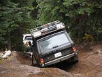 Whipsaw Oct 2008 062.JPG