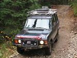 Whipsaw Oct 2008 078.JPG