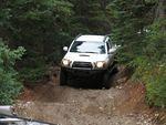 Whipsaw Oct 2008 079.JPG