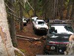Whipsaw Oct 2008 080.JPG