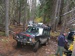 Whipsaw Oct 2008 081.JPG