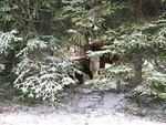 Whipsaw Oct 2008 090.JPG