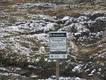 Whipsaw Oct 2008 093.JPG
