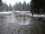 Whipsaw Oct 2008 097.JPG