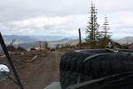 IMG_0455.JPG