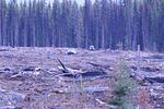 Picture 070.jpg