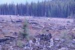 Picture 072.jpg