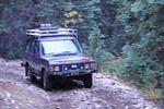 Picture 125.jpg