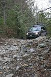 Hale Creek March 15 08 016.jpg