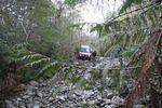 Hale Creek March 15 08 063.jpg