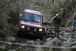 Hale Creek March 15 08 066.jpg