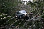 Hale Creek March 15 08 079.jpg