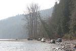 Hale Creek March 15 08 108.jpg