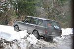 Hale Creek March 15 08 180.jpg