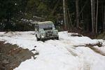 Hale Creek March 15 08 183.jpg