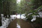 Hale Creek March 15 08 218.jpg