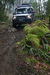 Hale Creek 2008 008.jpg