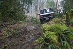 Hale Creek 2008 020.jpg