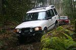 Hale Creek 2008 025.jpg