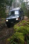 Hale Creek 2008 030.jpg