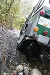 Hale Creek 2008 035.jpg