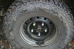 Hale Creek 2008 044.jpg